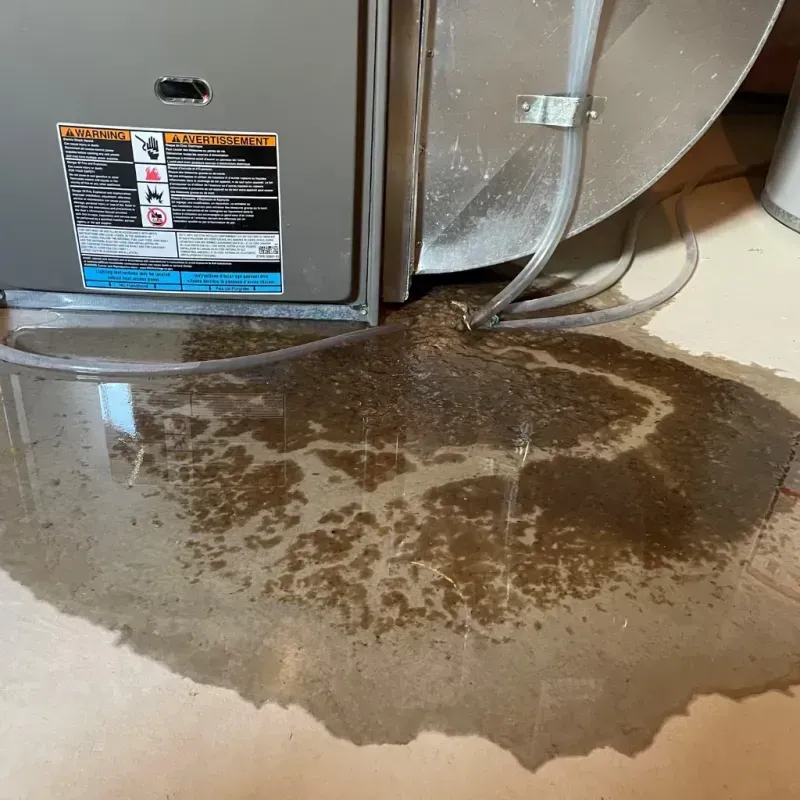 Appliance Leak Cleanup in Saint Joseph, IL